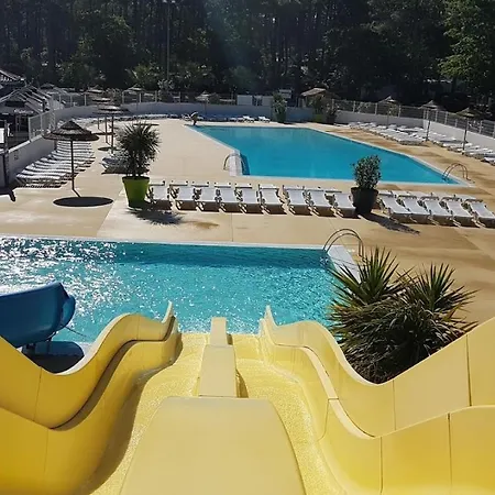 Les Viviers Jours De Reves