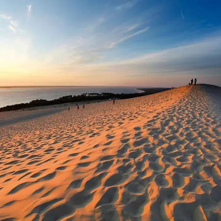 Les Viviers Jours De Reves * Lege-Cap-Ferret